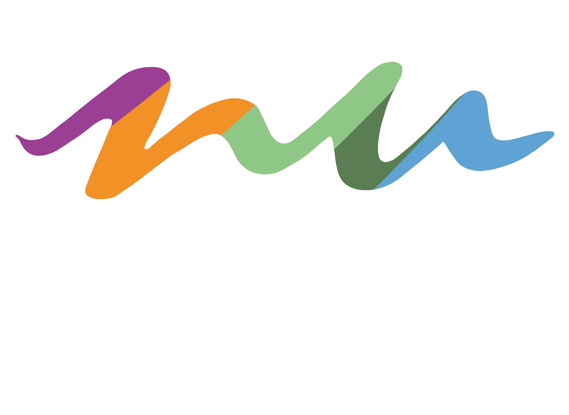 NuPath Logo